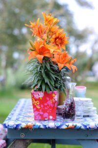 Lilium Tiny Invader