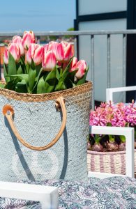 Tulipes en pot sur le balcon et le toit-terrasse